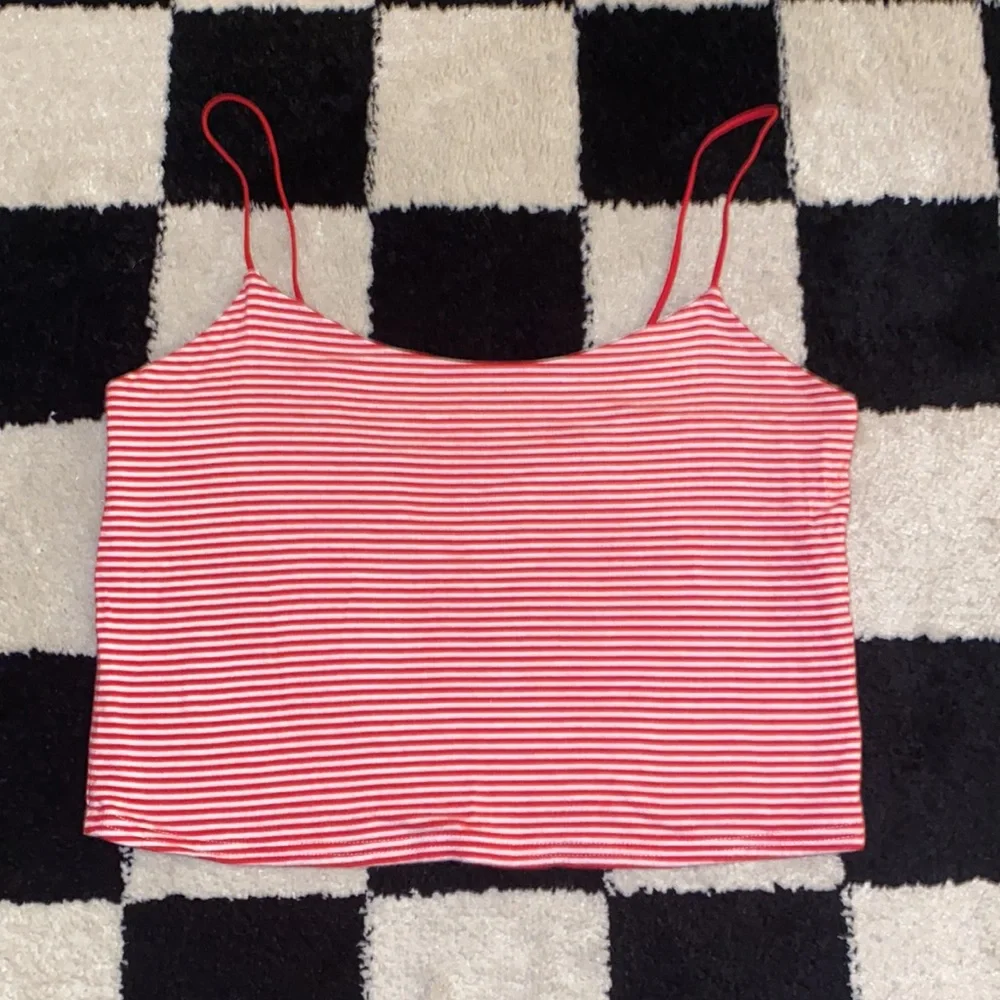 Red Striped Crop Top - Picture 3 of 7